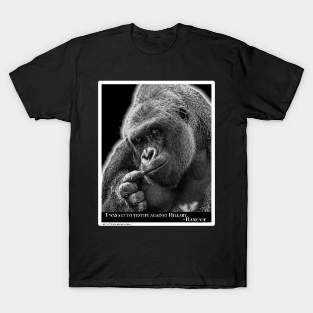 Harambe Testify T-Shirt by brokenpress